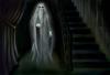 Albus jako duch